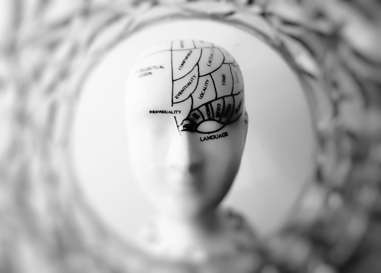 Neuro-marketing research Roving Rock